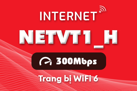 Gói cước NETVT1_H