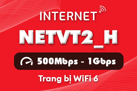 Gói cước NETVT2_H